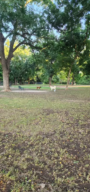 Dog Park