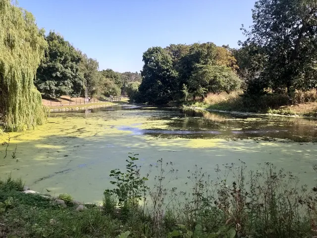 Slottsparken insektshotell