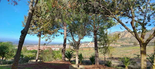 APARTAMENTOS LOS BELLOSO