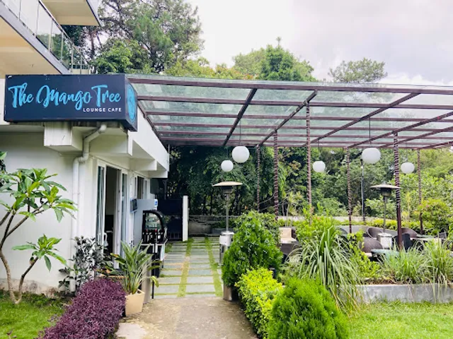 The mango tree lounge cafe