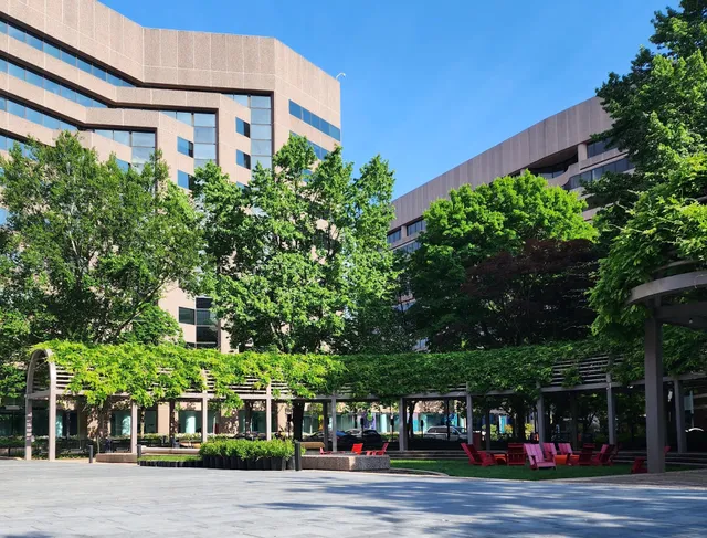 Crystal City Courtyard Green