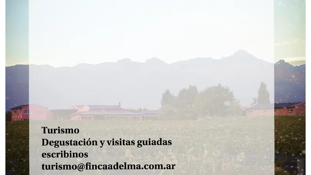 Finca Adelma vinos del alma