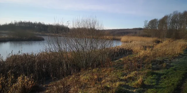 Skjoldhøjkilen