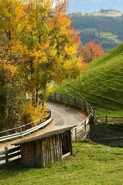 Erlebnishöhe Wald-Michelbach