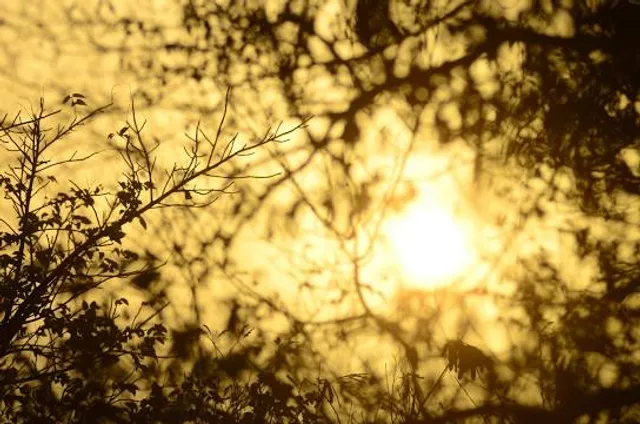photo-2