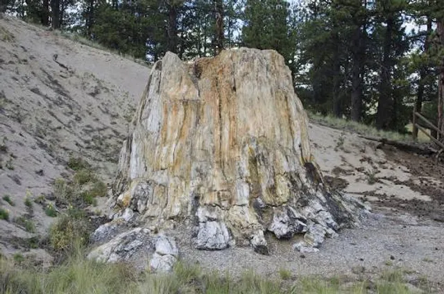 Florissant Fossil Beds National Monument