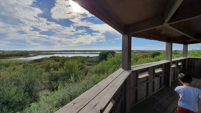 Observatoire d'oiseaux de L'Ile d'Olonne