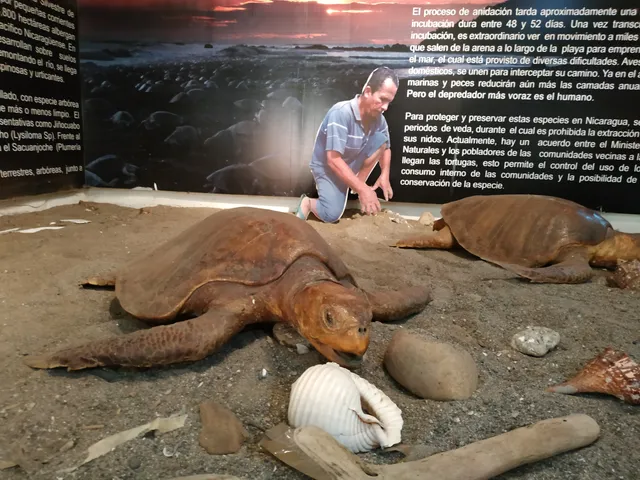 Museo Ecológico de Trópico Seco