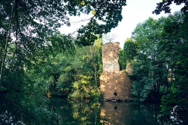 Ruine der Wasserburg Mechelgrün