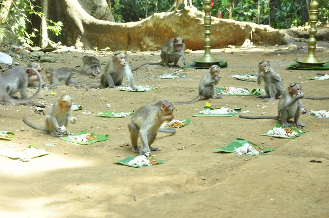 Sree Kallely Oorali Appooppan Kavu (original sanctum )