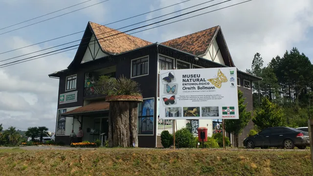 Natural Museum Entomological Ornith Bollmann