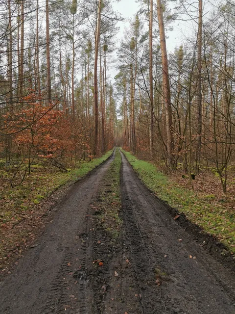 photo-1