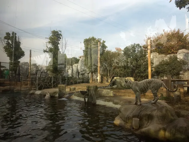 Yancheng Wild Animal World