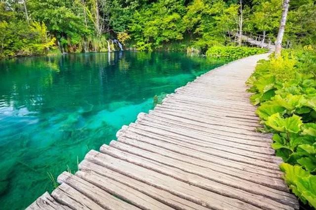 Bluewater Nature Trail