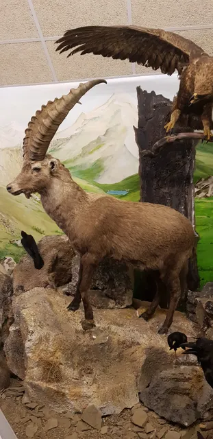 Ecomusée de la faune "Le refuge des animaux"