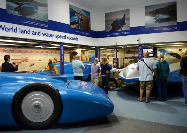 Campbell Bluebird Exhibition