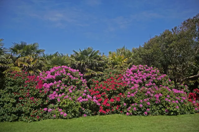 photo-1