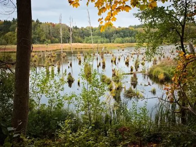 Schorfheide-Chorin Biosphere Reserve
