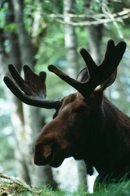 Pojezierze Iławskie
