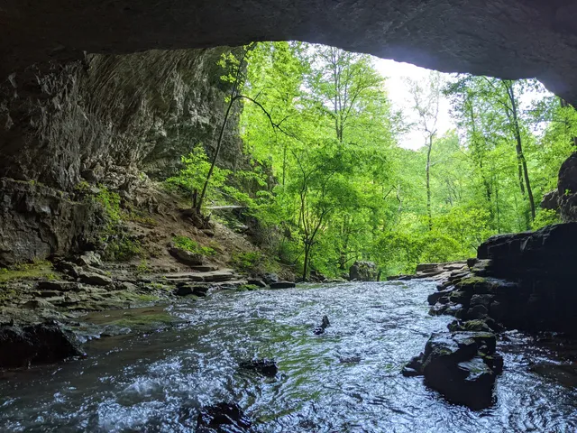 Buggytop Cave Trailhead