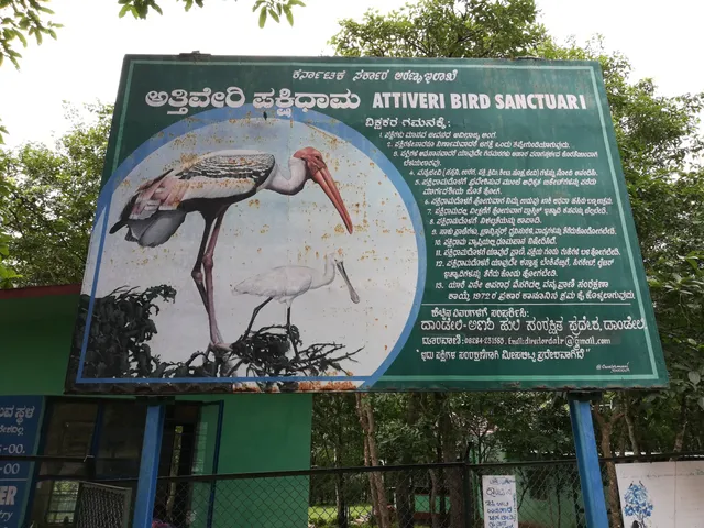 Attiveri Bird Sanctuary