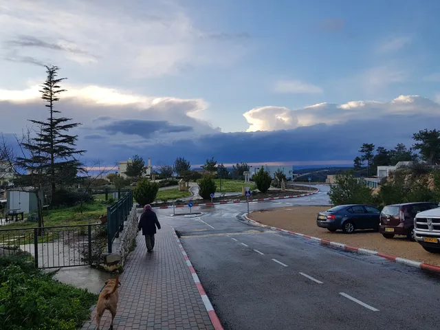 REJ Tours/ Julius Suite