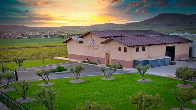 Bodegas Don Sancho de Londoño