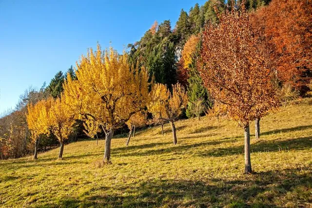 Upper Austrian Prealps