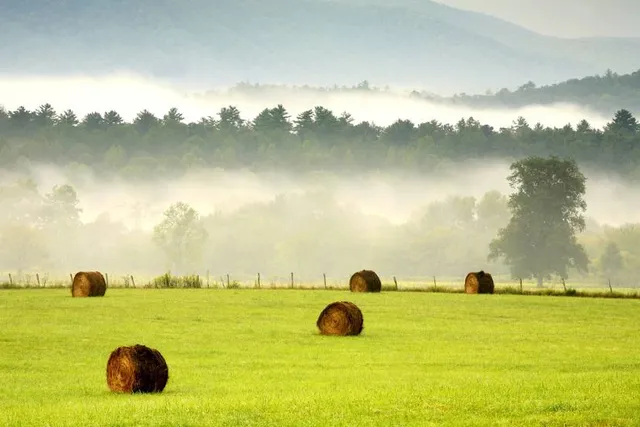 Parque Ambiental Bicentenario