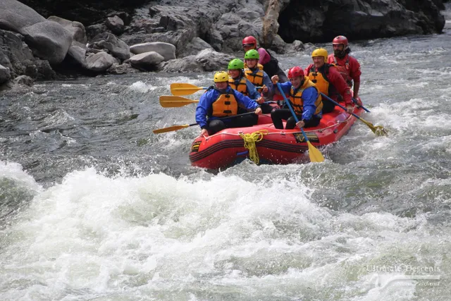 Ultimate Descents Aotearoa