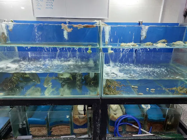 Nhà hàng hải sản Duy Mập