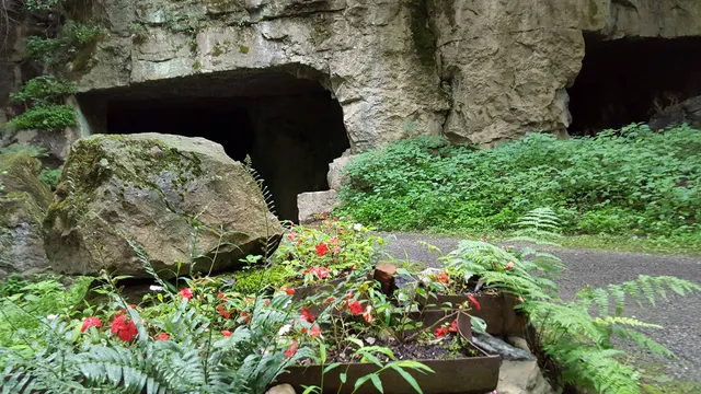 Century House Historical Society & Snyder Estate