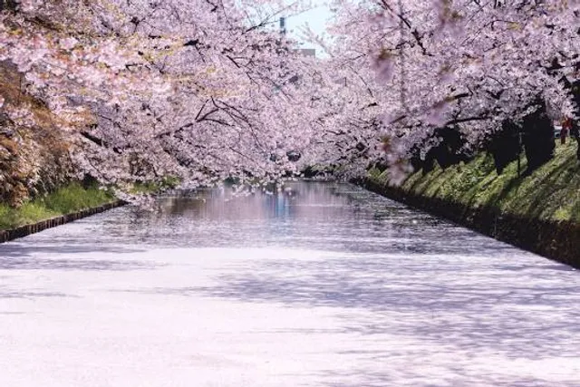 photo-2