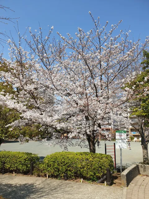 Tokaichibanishi Park