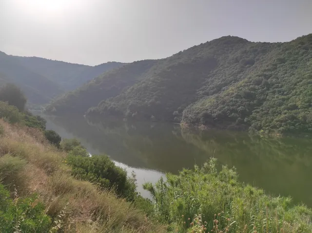 Riserva naturale Regionale Lago di Tarsia