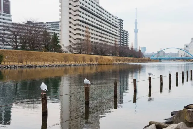 Kameido 9-Chome Ryokudo Park