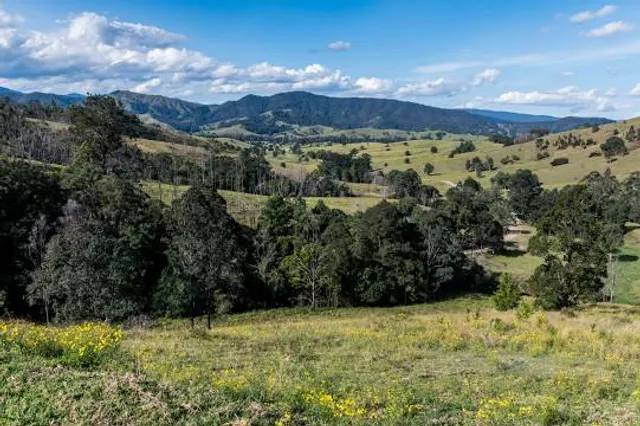 Rural Hill Nature Preserve