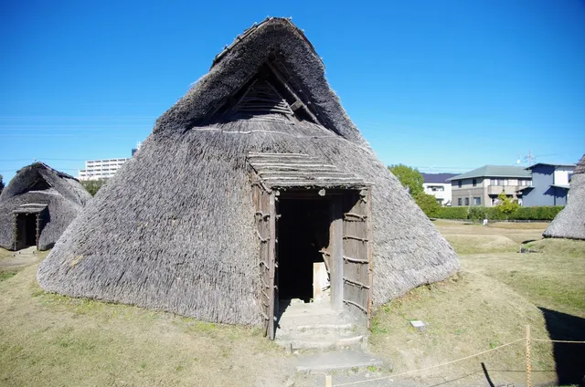 Toro Archaeological Site