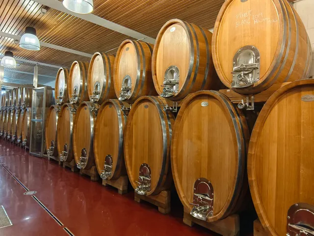 Johann W - Castle winery Třebívlice