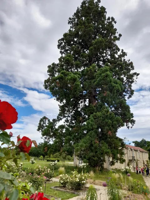 Universitaire de Poitiers Botanical Garden