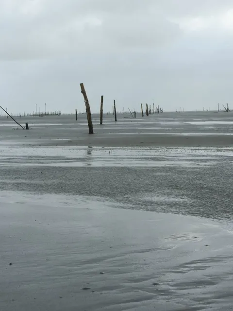Wanggong Fishing Port