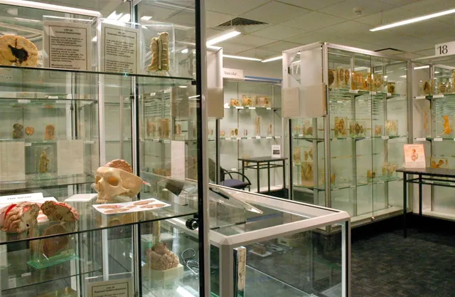 Museum of Human Disease