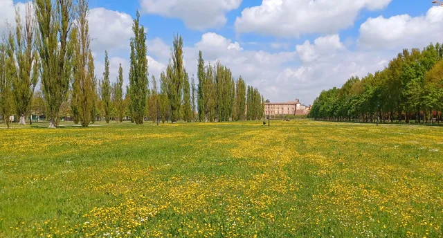 Parco Ducale