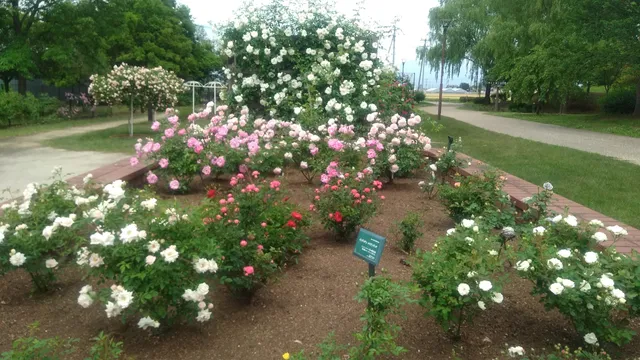 Tamamura Town Hokubu Park