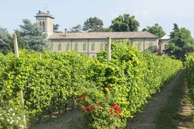 Parco delle Vincellate