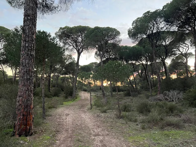 Sendero Cerro Del Aguila