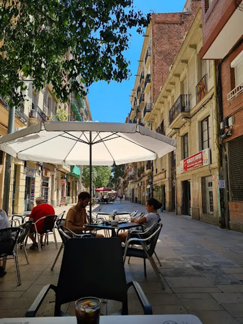 Vegan Vegetal Perejil