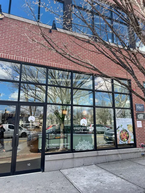 Elephant Plate Montclair