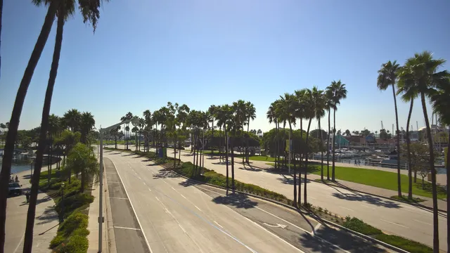 Shoreline Pedestrian Bridge