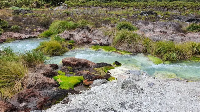 Sector Sanguan Punto De Informacion Del Parque Natural Purace